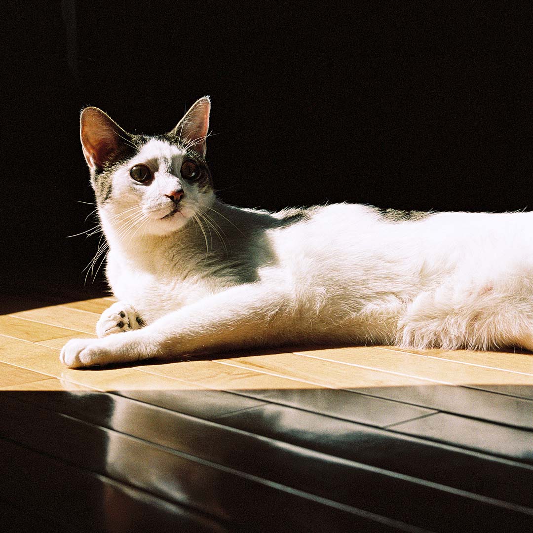 Matt Montgomery Photo